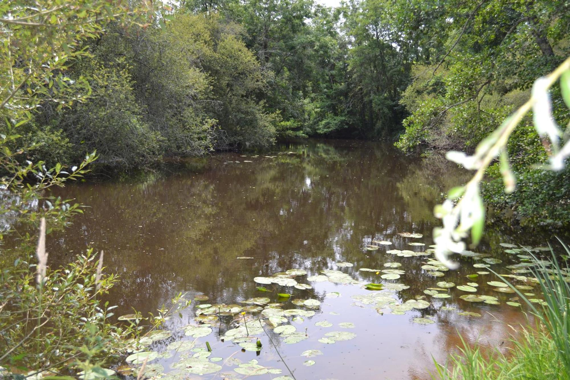 Les Bruyeres B&B 2 Montbron Zewnętrze zdjęcie